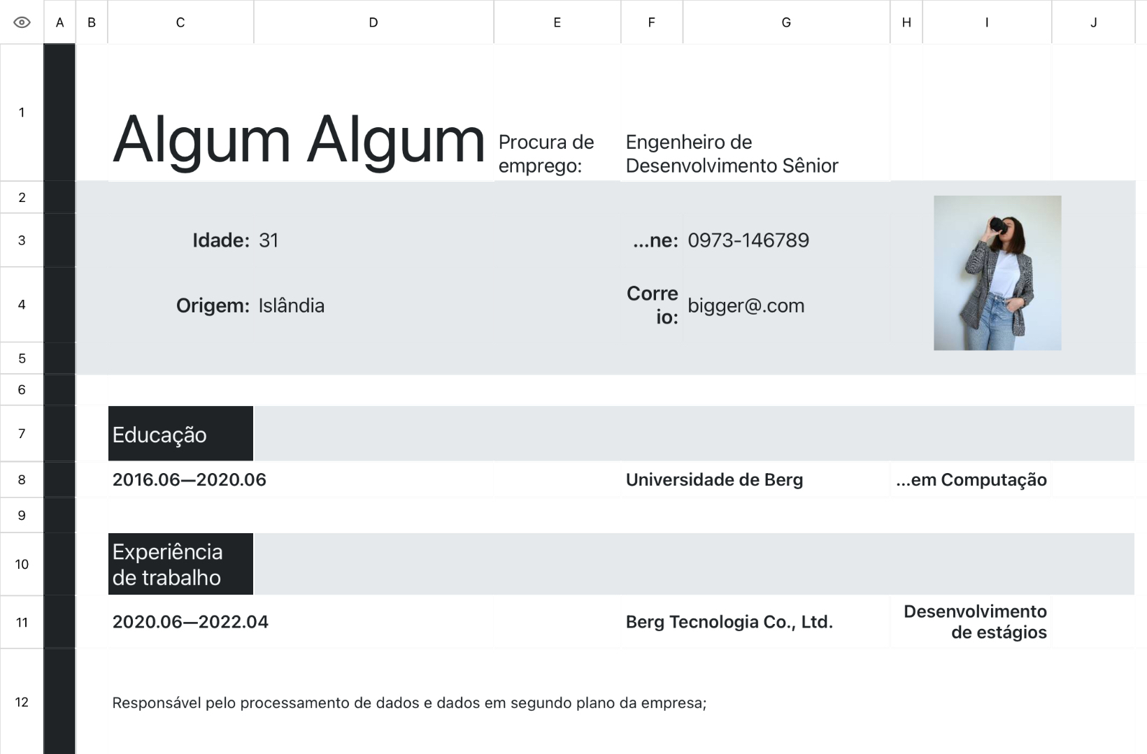 Currículo do programador